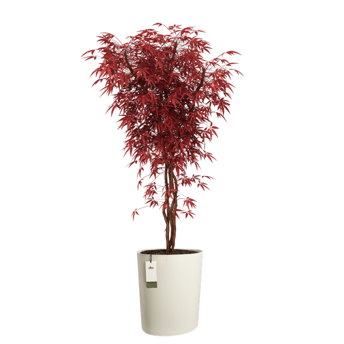 eden aquacare high 40cm linen white